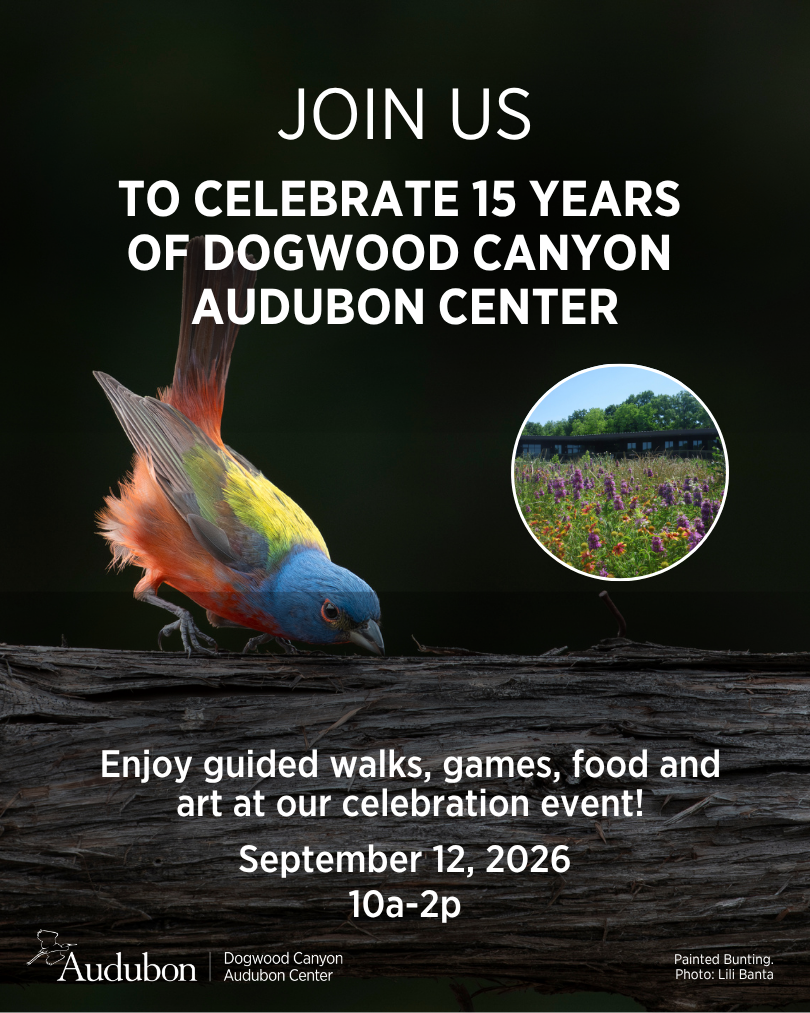 Celebrate 15 years of Dogwood Canyon Audubon Center with special event. 
