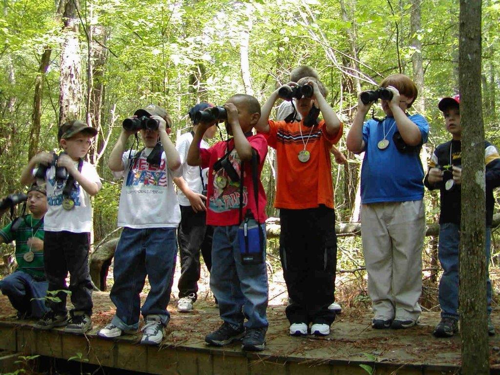 Young campers use binoculars to view birds. 