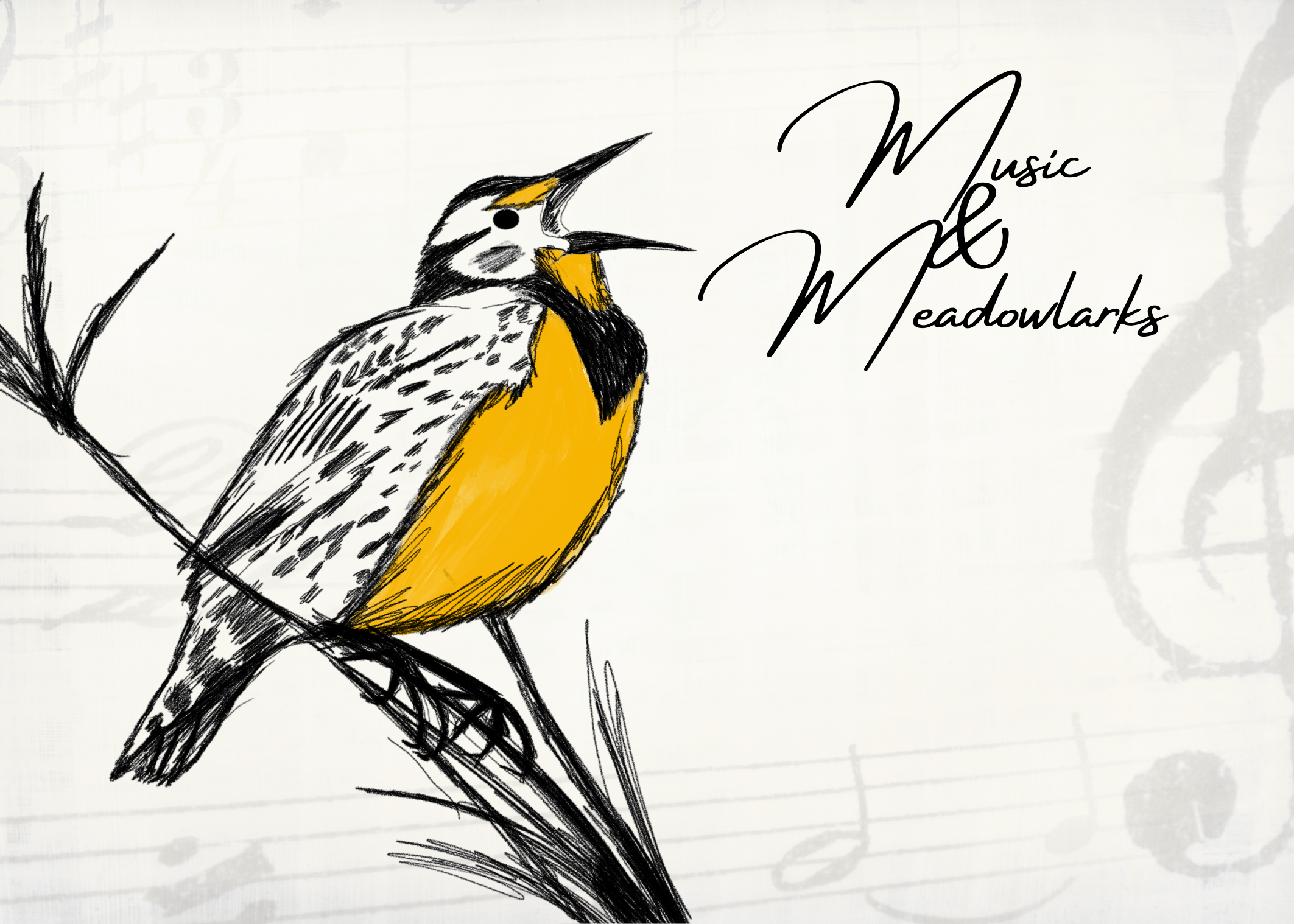 Music & Meadowlarks postcard