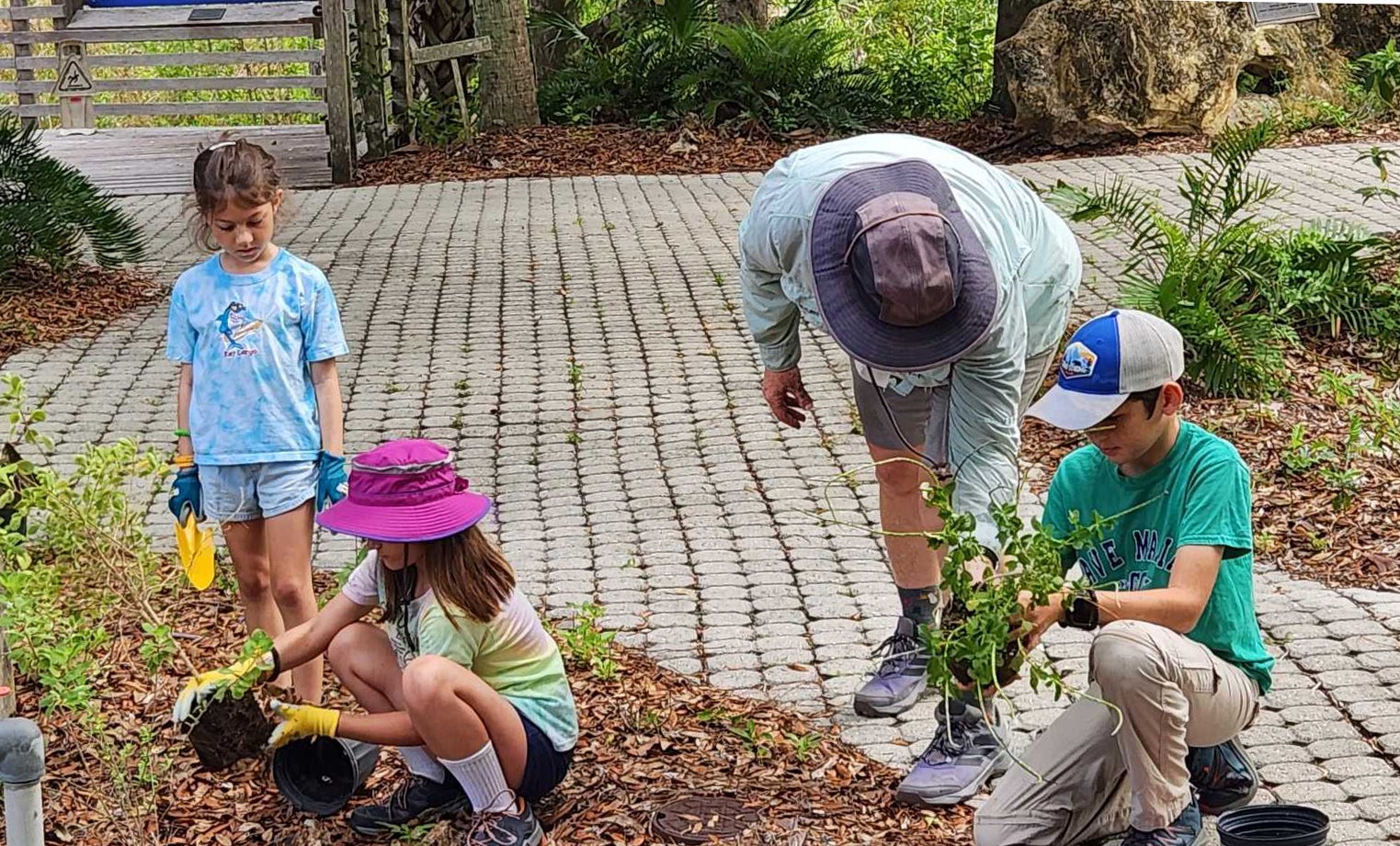 Three campers and a counselor planting plants.