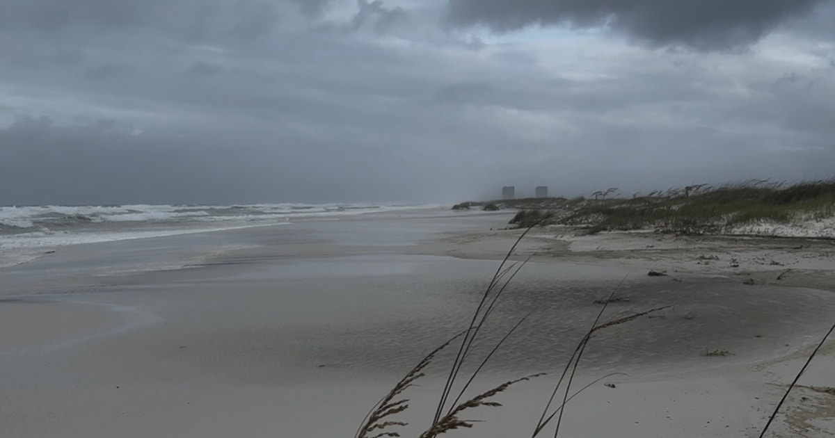 Surviving the Storm: Tropical Storm Impacts on Coastal Birds Surviving the Storm: Tropical Storm Impacts on Coastal Birds