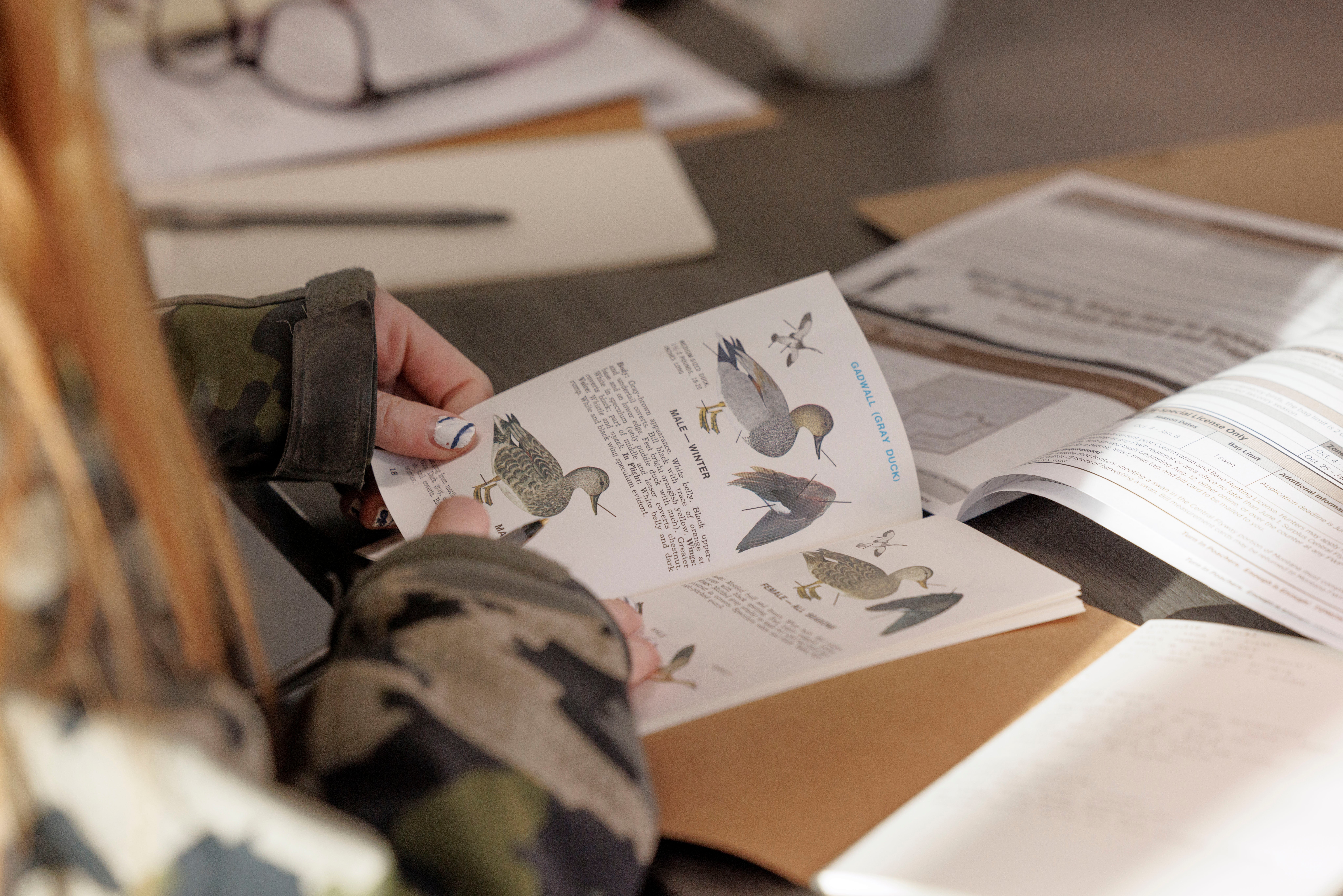 A person wearing camouflage clothing browses a bird guide opened to the gadwall page.