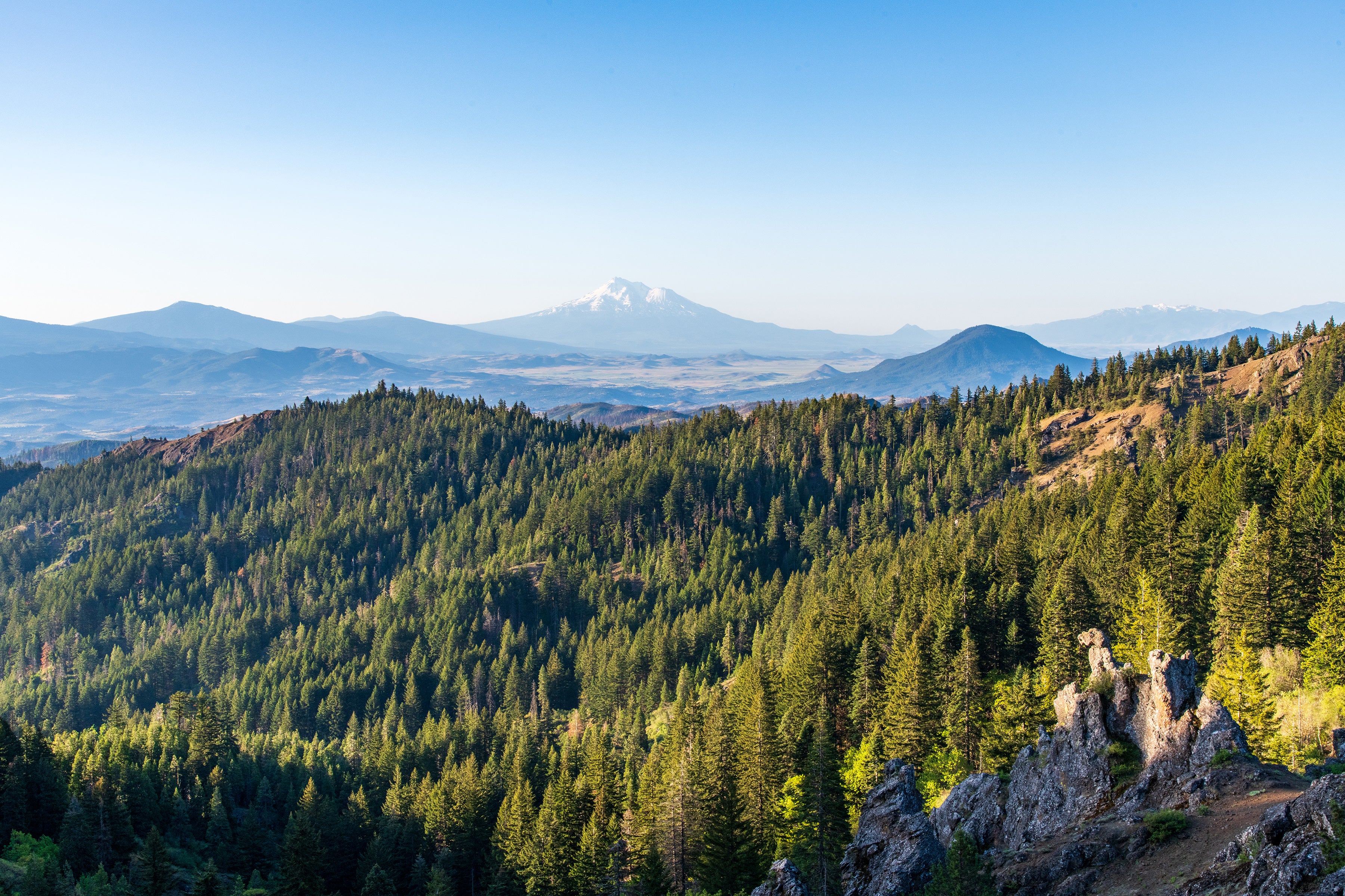 A vast landscape of forest and snow-capped mountains in the distance.