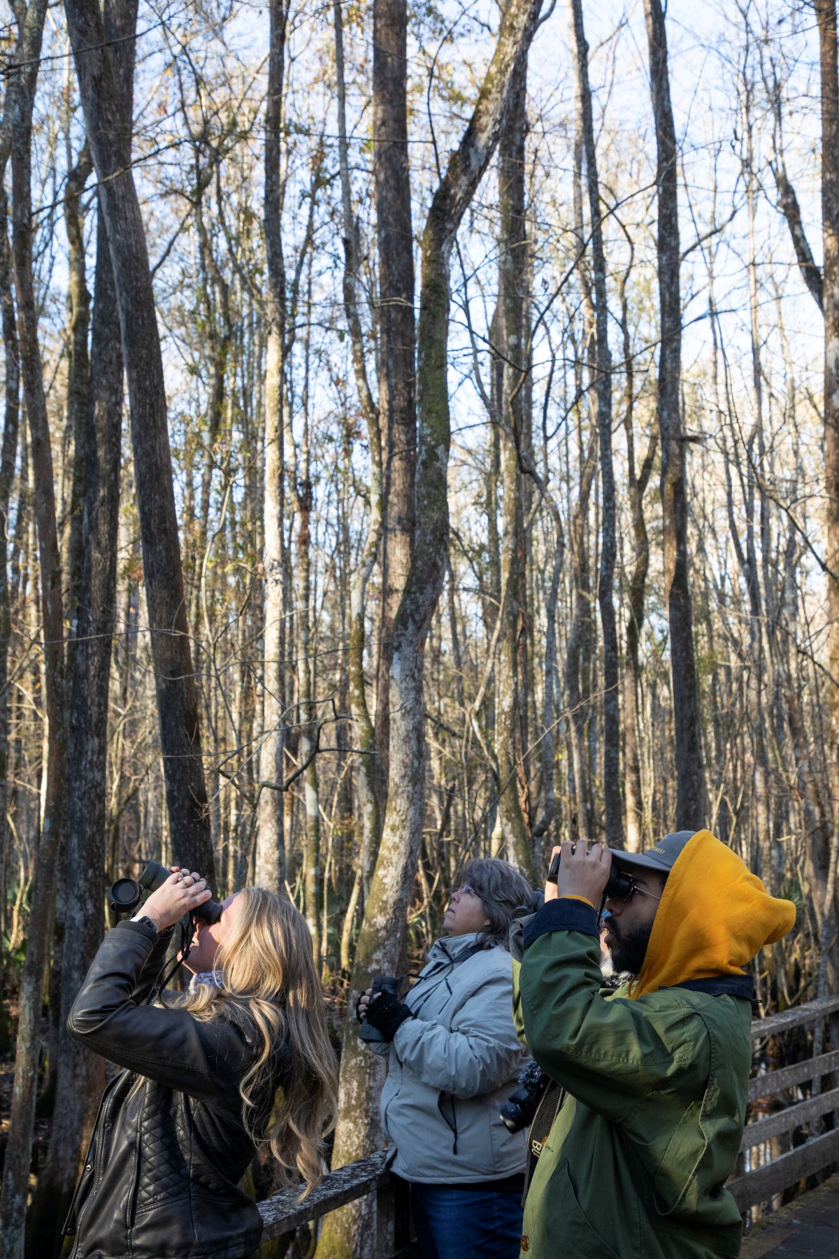Volunteers go birding during the Chirstmas Bird Count at the Audubon Center and Sanctuary at Francis Beidler Forest and surrounding properties in Harleyville, South Carolina, December 19, 2022. The Christmas Bird Count, a volunteer community science initiative, allows Audubon to assess the health of bird populations and to help guide conservation action.