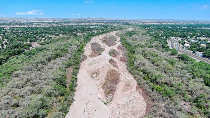 The Albuquerque bosque north of Central