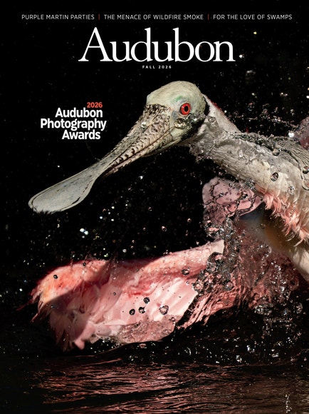 National Audubon Society