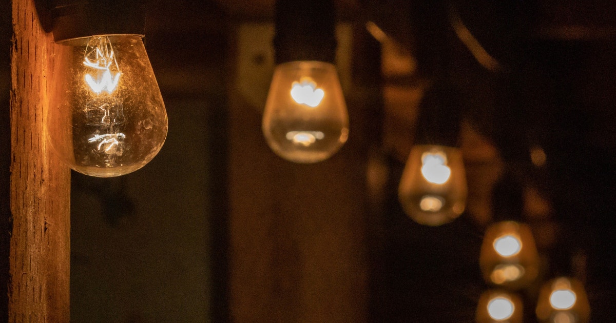 Bird-Friendly Lighting Tips for Your Home