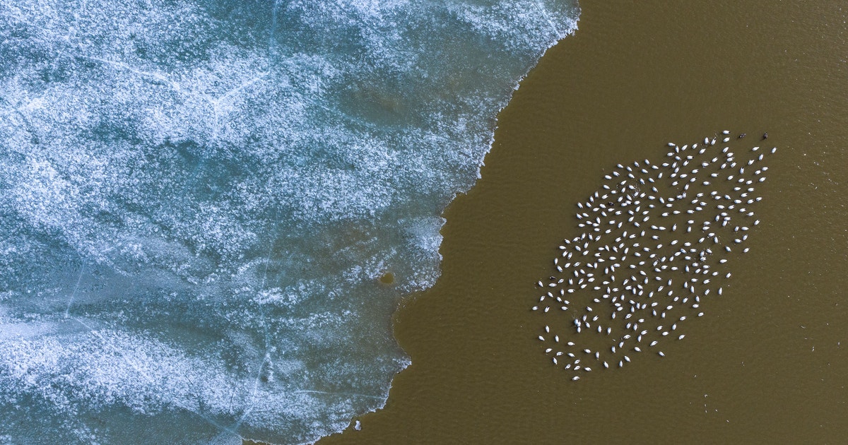 Protecting the Future of Alaska’s Western Arctic