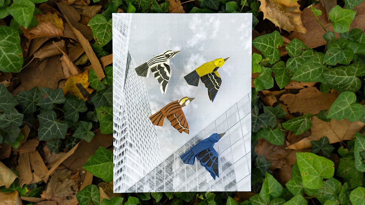 Four colorful origami birds on a black-and-white photograph of skyscrapers.