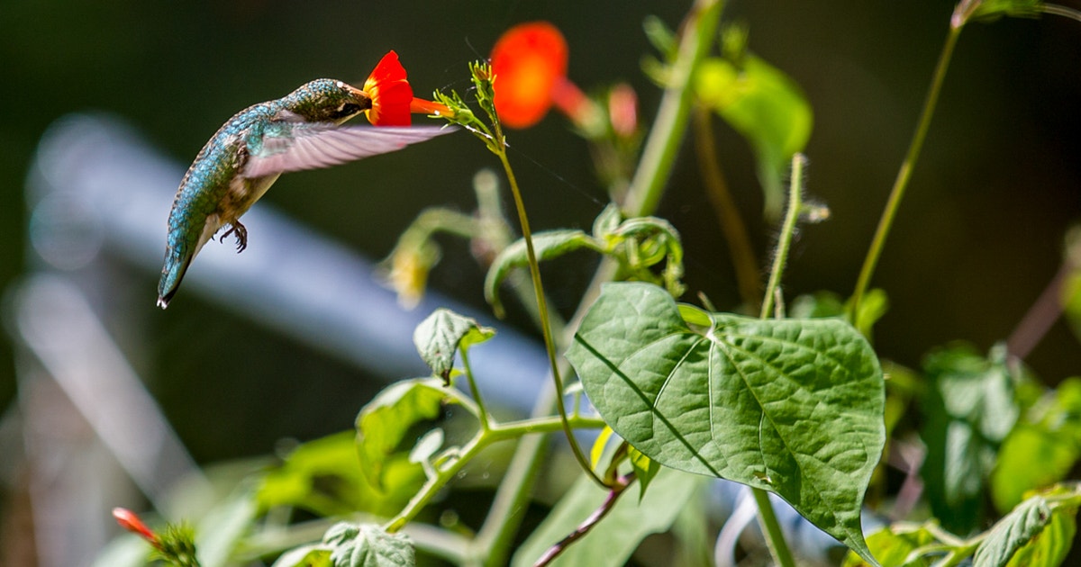 Rethinking Your Lawn (Without Overthinking It)