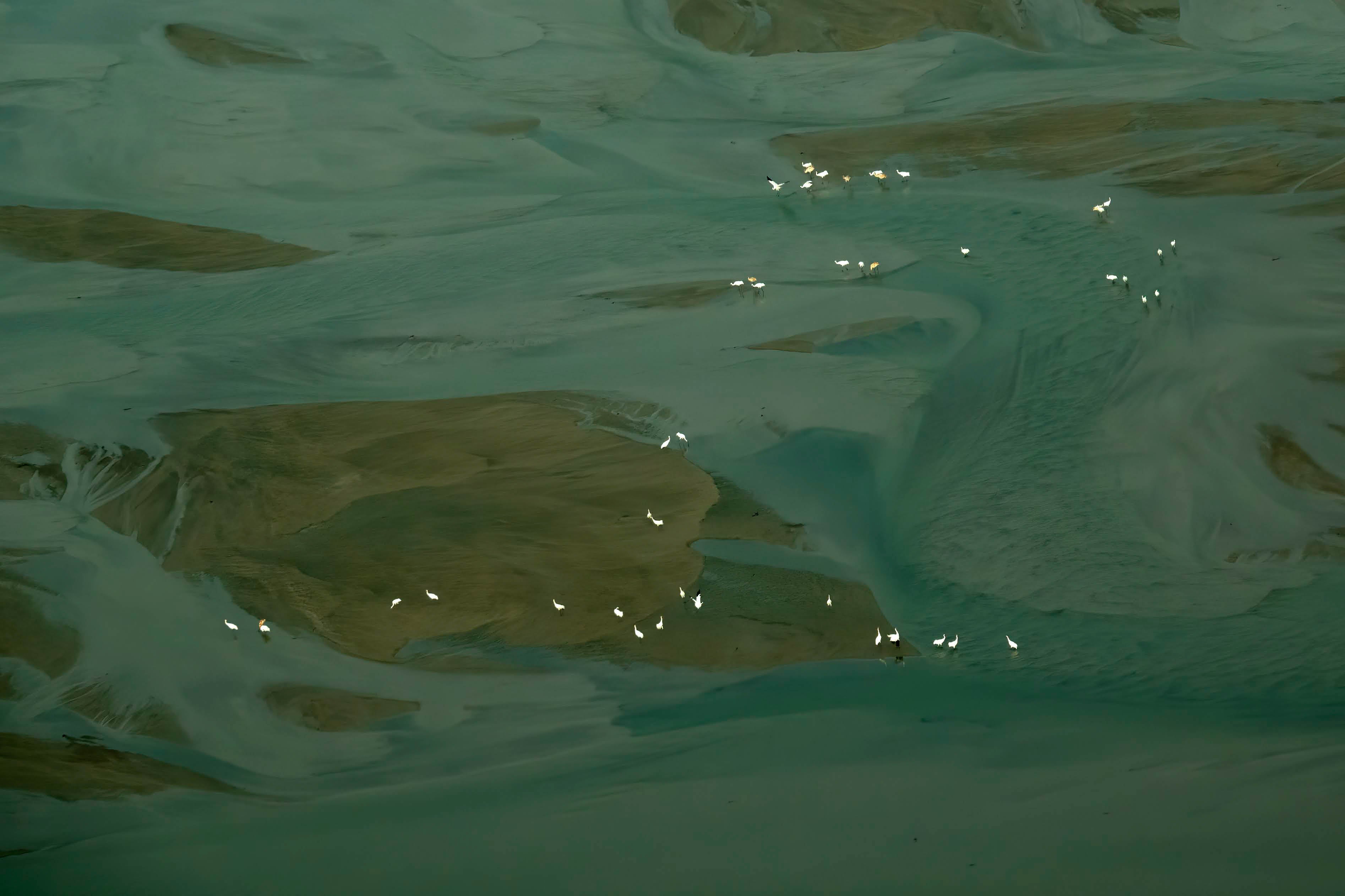 Connection Between Water and Ecological Function | Audubon