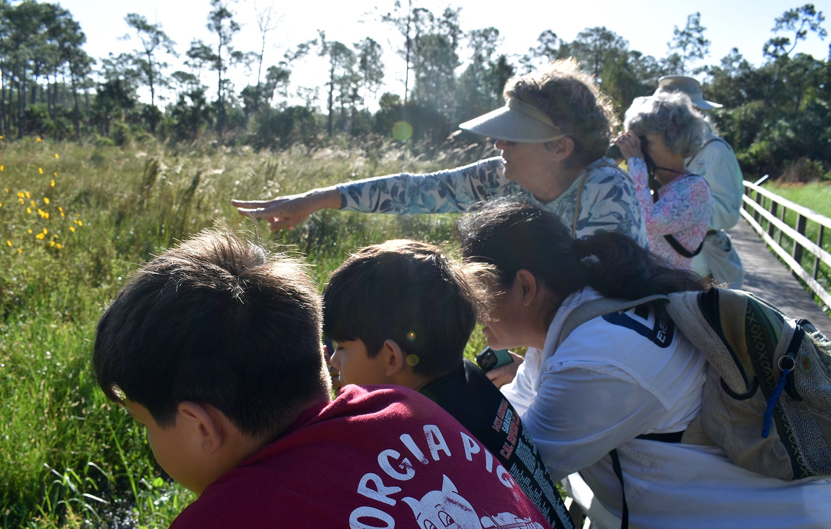 Butterflies, Birds, and the Bigger Picture