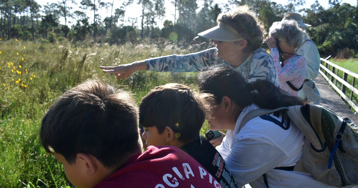 Butterflies, Birds, and the Bigger Picture