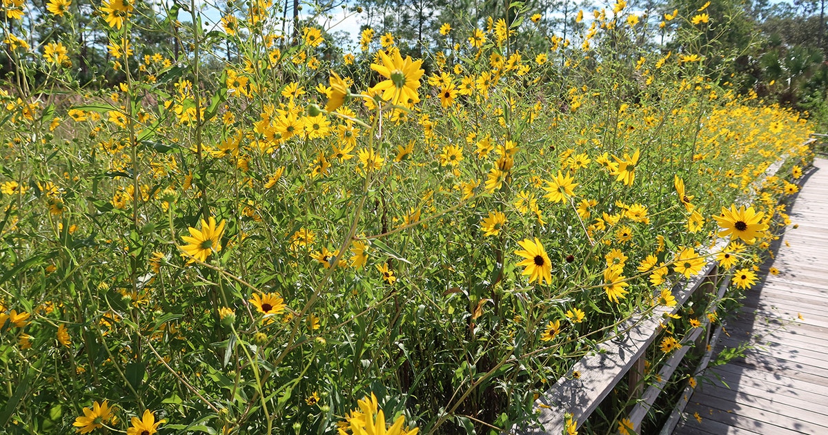 Above-average Rainfall Recorded at the Sanctuary in September