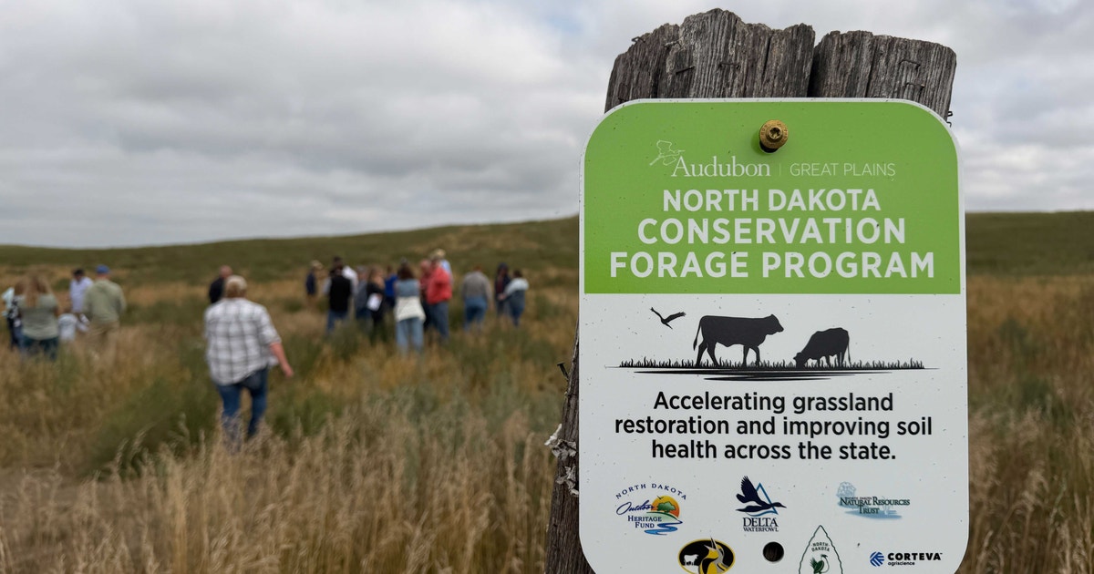 A Milestone Made Together: Celebrating 20,000 Acres of Conservation