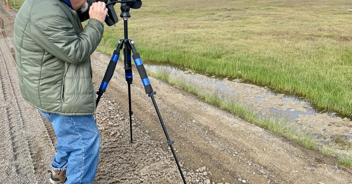 Remembering Mr. Whitekeys: An Alaska Original and Champion for Birds