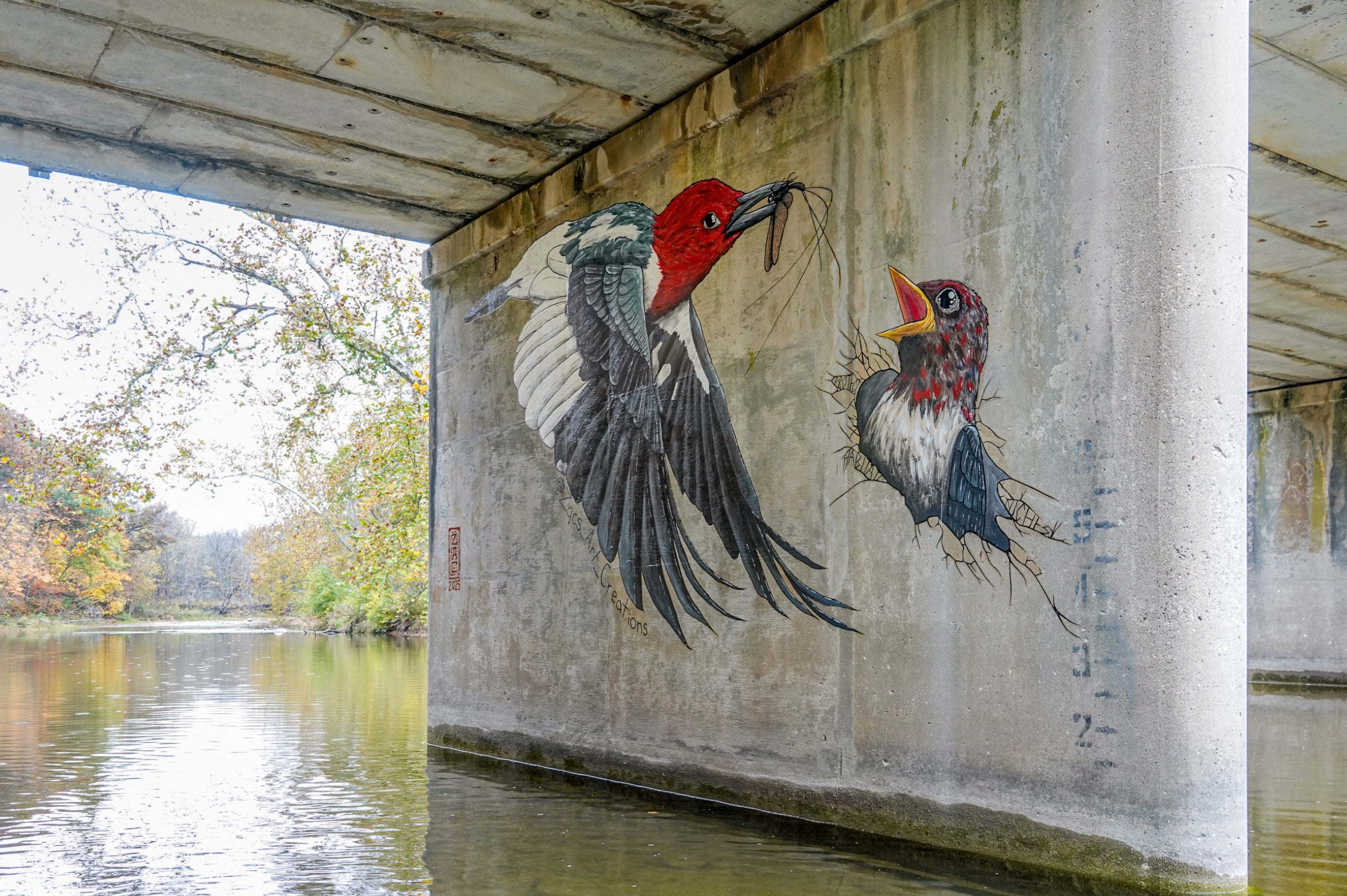 A mural of a Red-headed Woodpecker bringing a mayfly to its chick painted on the underside of a bridge over a river.