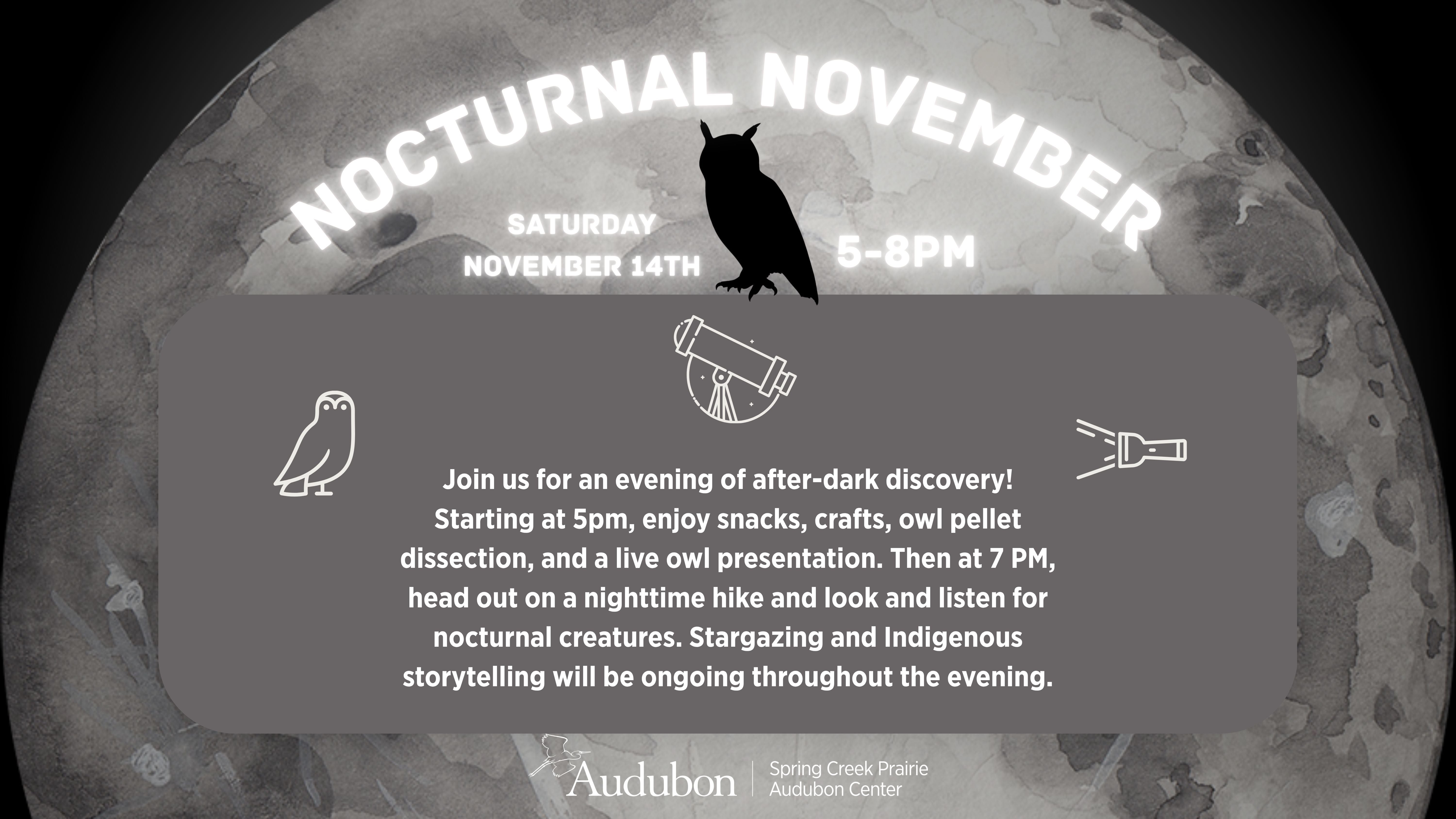 Nocturnal November poster
