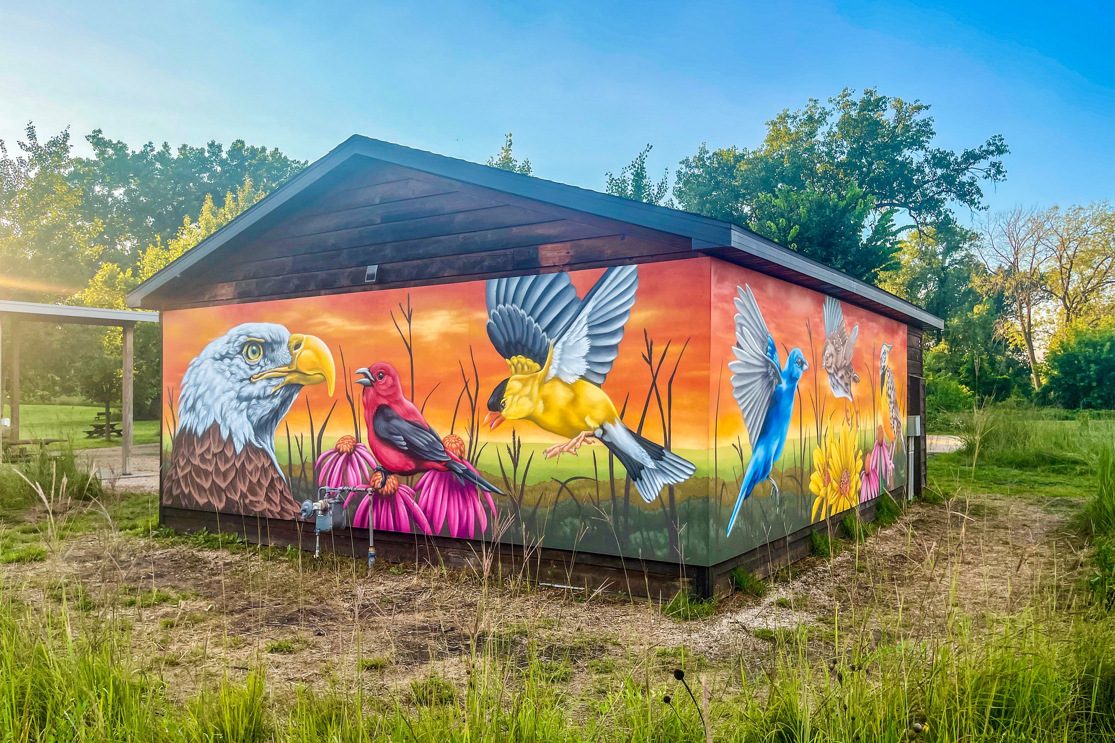 A colorful mural of a Bald Eagle and songbirds painted on a wooden building in a park.