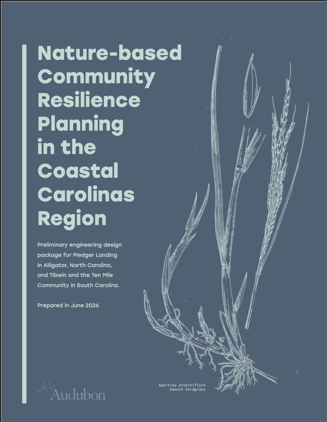 A report with marsh grass sketched on the cover