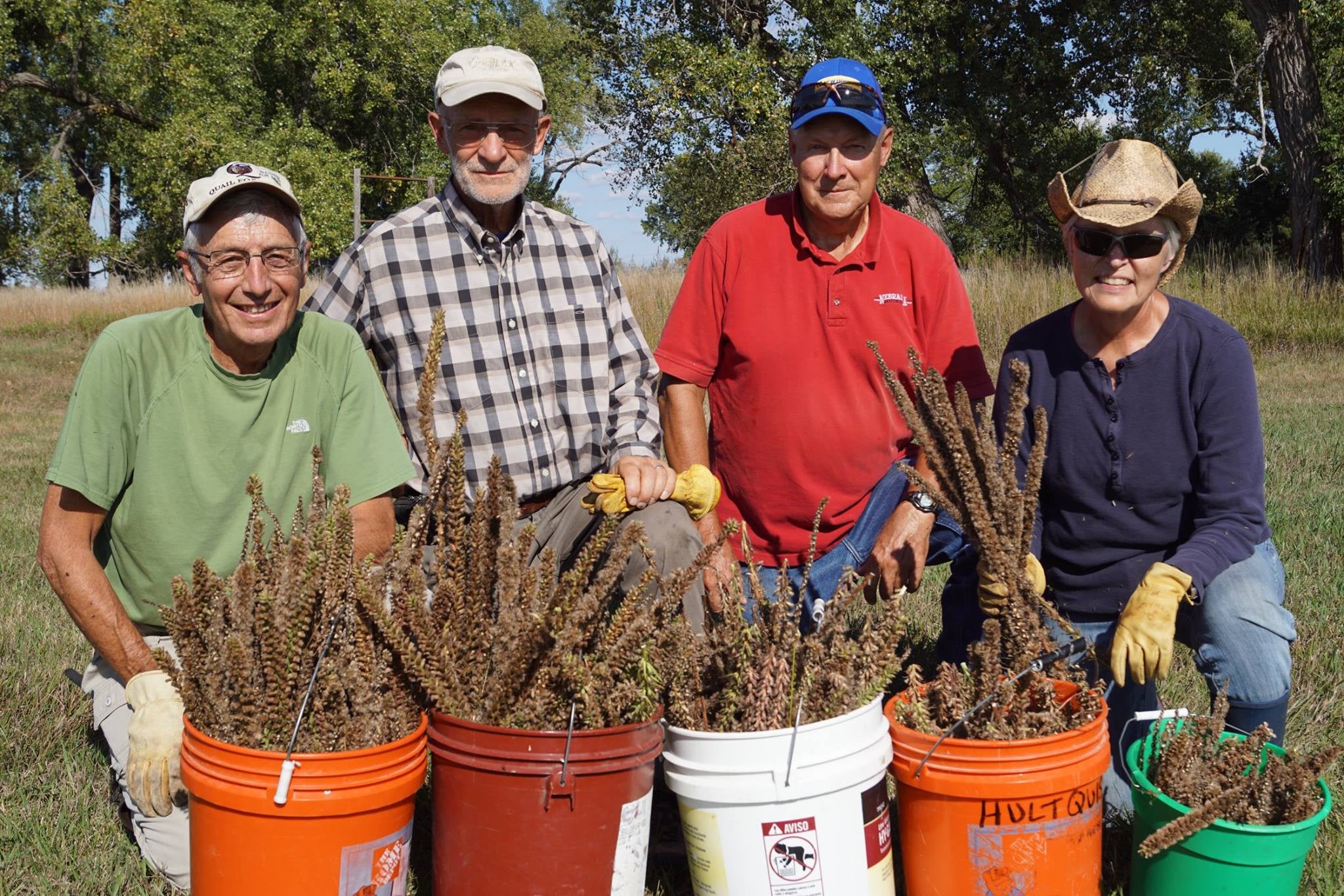 four volunteers outside with buckets full of plants