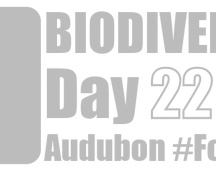 Biodiversity Day logo: May 22