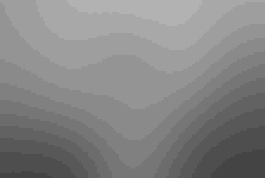 Northern hawk owl, by Jim Cumming