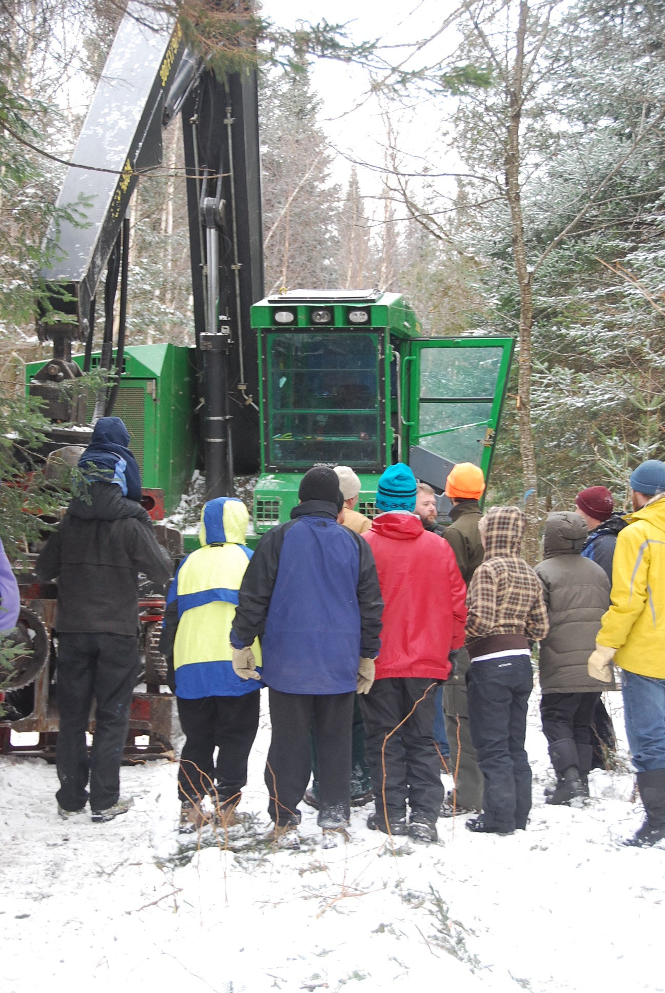 Silviculture with Birds in Mind Demonstration Project | Audubon