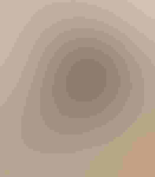 Ruff, by Georges McNeil