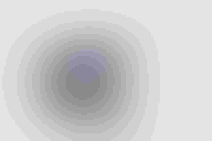 Tricolored herons are one of the smaller members of the Ciconiiformes. During breeding season their faces and bills become blue, unlike the individual that Bill Dix photographed.  Photo: By William Dix