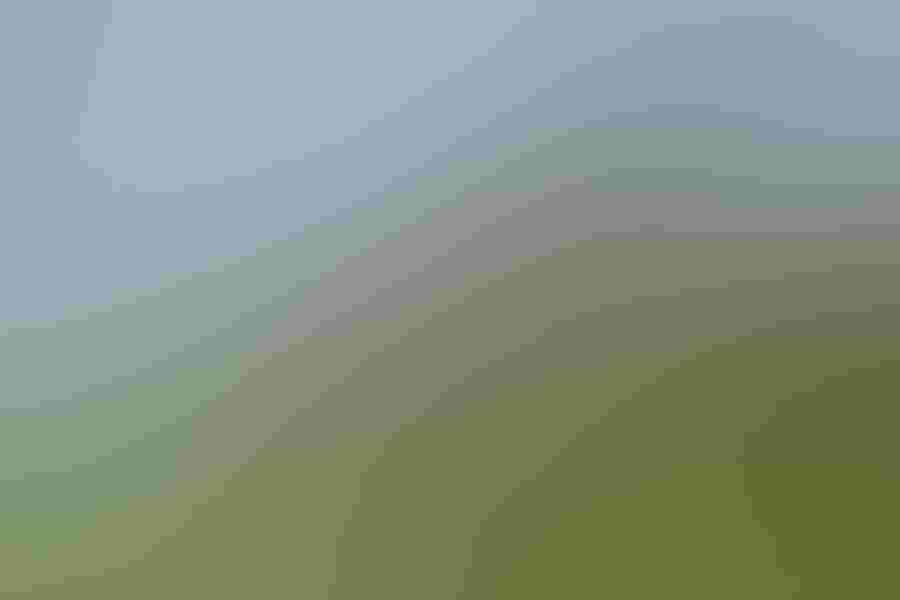 Hector Astorga caught this greater roadrunner showing off stunts on a raptor perch in Santa Clara, Texas. The bird runs fast, but it also is highly adapted to desert life and can eat venomous animals. Photo: Greater roadrunner, by Hector Astorga