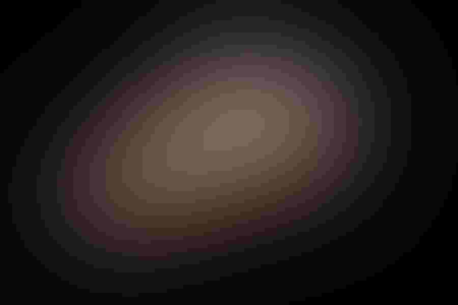 Hector Astorga's ranch in Santa Clara, Texas is the ideal spot for bird photography. His bird blinds make it possible for him to get unadultered shots of raptors, such as great horned owls. Photo: Great horned owl, by Hector Astorga