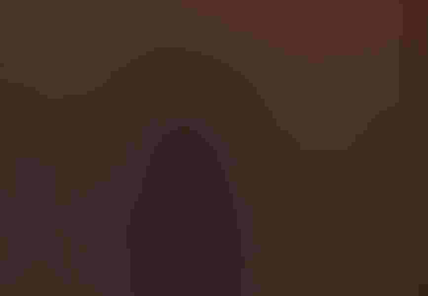 A black skimmer dips its beak into the water during a summer afternoon in Long Island, New York. The photographer, Johann Schumacher, has been taking shots of skimmer flocks for many summers now. Photo: By Johann Schumacher