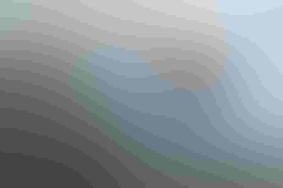 A short-eared owl flies by Debra Herst and her camera. The birds like to hunt in open, grassy expanses, making river banks and wetlands the ideal places to photograph the species.  Photo: By Debra Herst