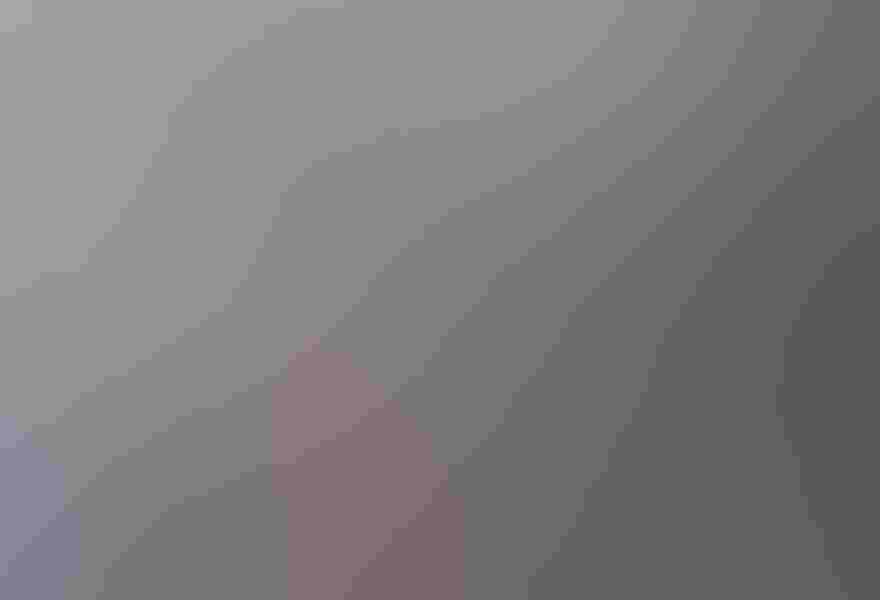 Least sandpiper, by Owen Deutsch