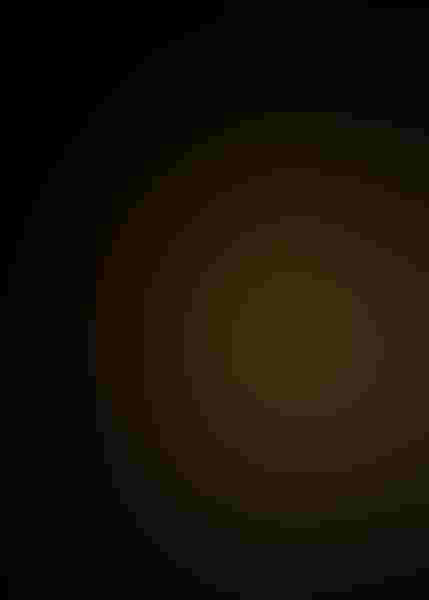 Double-crested cormorants are not uncommon in North America. But the way that Dennis Goodman focused his lens on the emerald eye of this individual makes the bird seem like an exotic, mythical creature. Photo: By Dennis Goodman