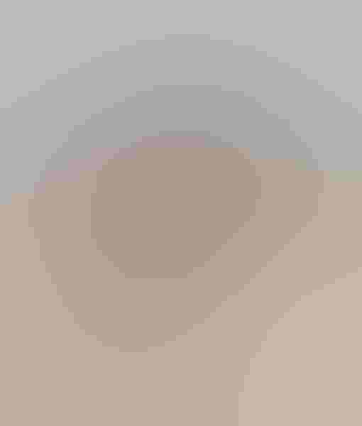 Ted Ellis was able to catch a puffin clowning around in the air from behind a bird blind. The shot was taken on Machias Seal Island, Maine, where visitors are regulated due to mass nesting behavior by seabirds.  Photo: Atlantic puffin, by Ted Ellis