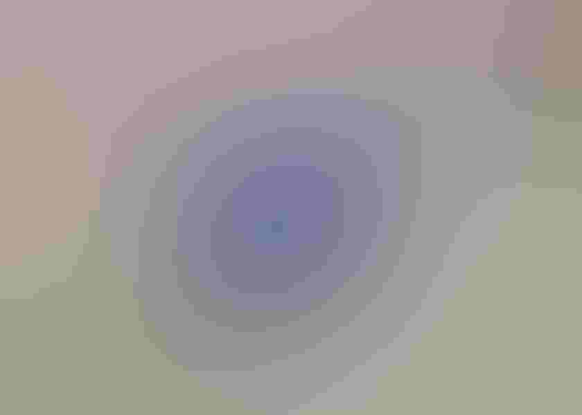 Lilac-breasted roller, by Timothy Rucci