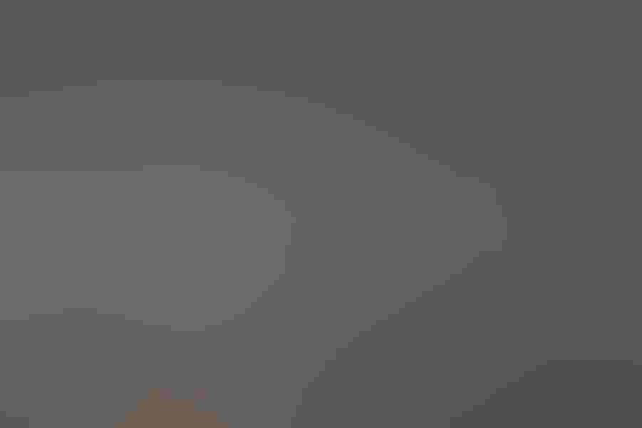 Red-necked grebe, by Matthew Studebaker