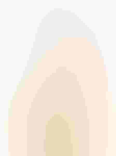 The common redpoll frequents Marie Read's backyard in Ithaca, New York, and shrubs and woodlands all over the northern part of the States in the winter. Some individuals seek out warmth by digging tunnels in the snow.  Photo: By Marie Read