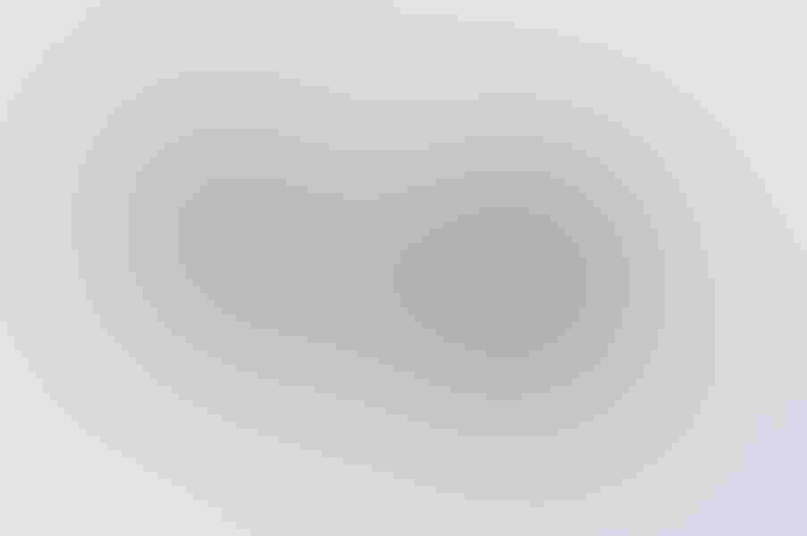 Greater prairie-chicken, by Robert Palmer