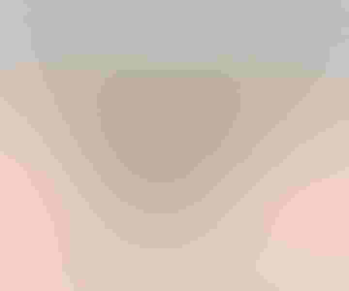 Snowy owl, by Barbara Fleming