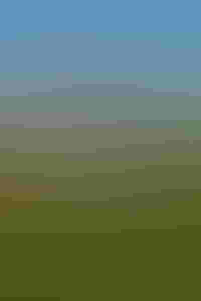 Saddle-billed stork, by Barbara Fleming