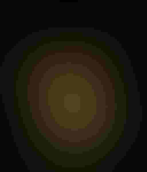 How many pictures have you seen of the back of a hummingbird? Roger Levien decided to explore a unique aspect of this broad-tailed hummer during a photo shoot in Sante Fe, New Mexico.  Photo: Broad-tailed hummingbird, by Roger Levien