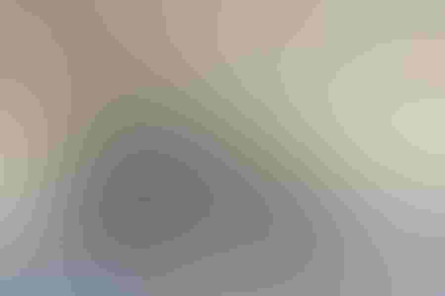 Greater sage-grouse, by Ken Archer