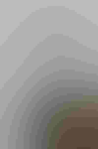 Osprey, by John Sherman