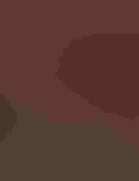 Wood duck, by Richard Pick