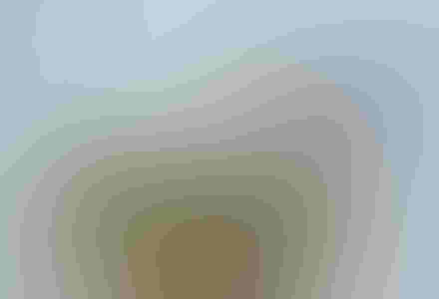 Great blue heron, by Robert Amoruso