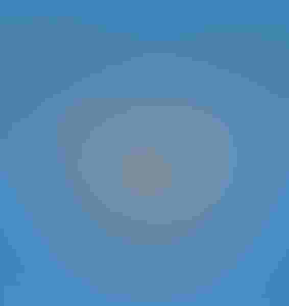 Osprey, by Kristofer Rowe