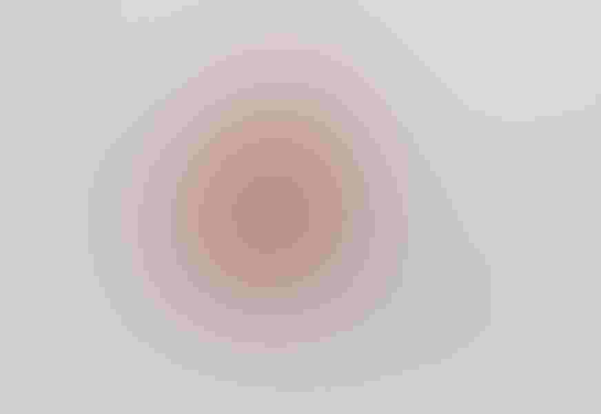 Lee Dalton got his image of a scarlet ibis beating its wings in Morrocoy National Park in Venezuela. It was one of the many vibrant waterbirds he photographed during his South American sojourn.